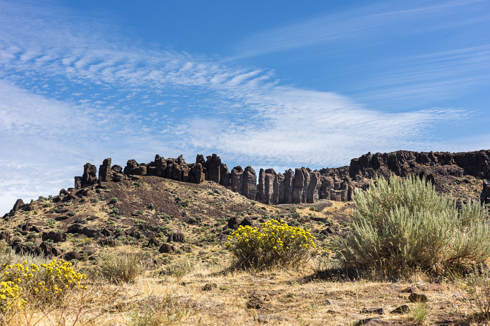 Basalt Columns formed when molten lava cooled towering over the eastern Washington high desert near George, Washington