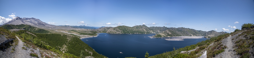 Panorama of Mount Saint Helens (caldera on the left) and Spirit Lake from Windy Ridge.  The rebounding groundcover is thriving since the 1980 eruption of the mountain.  The log mat still floating on the surface of Spirit Lake (brown area to right) is made up by thousands of trees that were blown down during the 1980 eruption .
