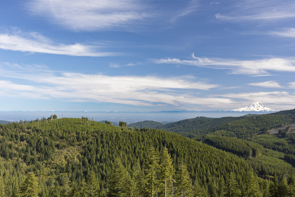 A view looking East of Mount Rainier and the Cascade Mountains from the Capitol State Forest near Olympia, Washington.