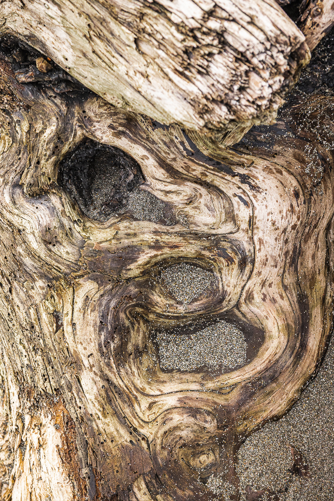 Pattern, Texture, Driftwood and Sand
