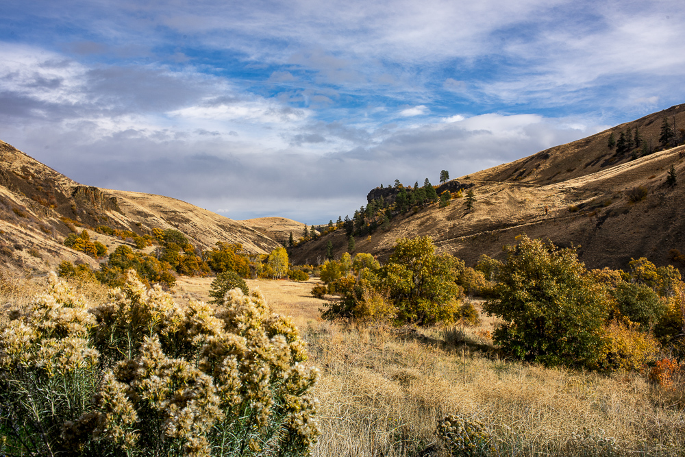 NPK Canyon and Fall colors from Oak Creek Road in Eastern Washington