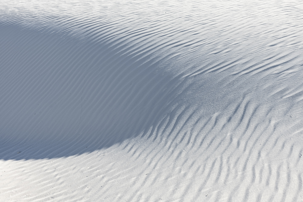 Light, shadow, texture of wind blown sand.  White Sands National Monument