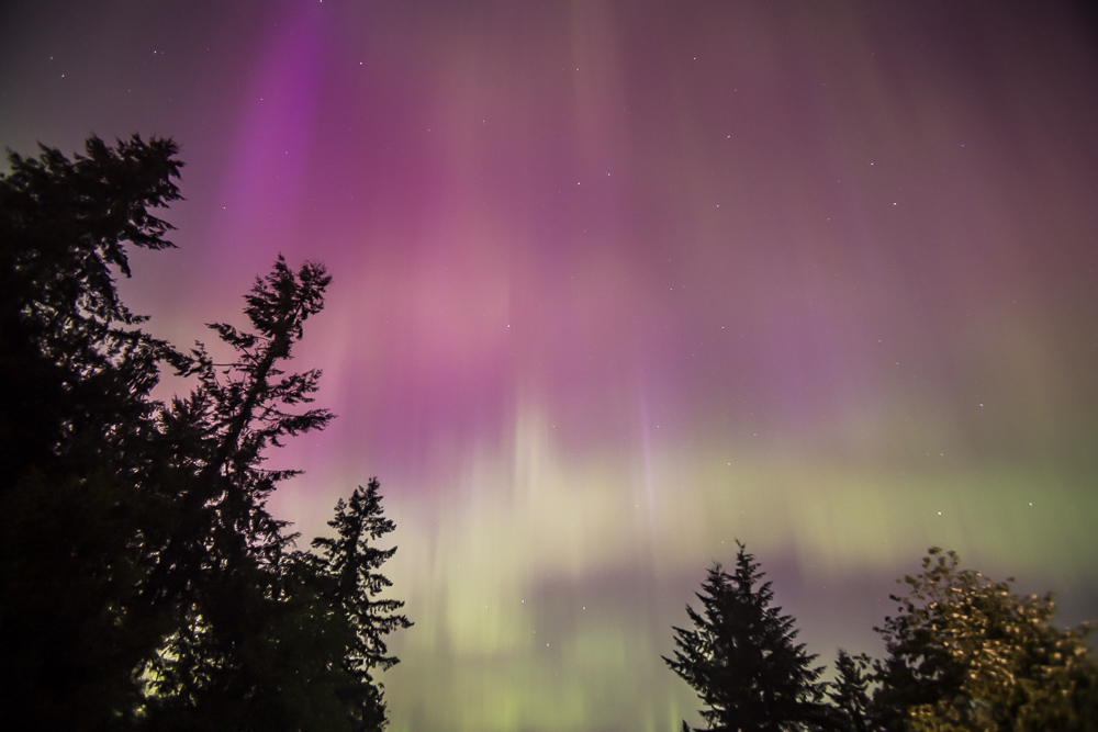 Rare Northern Lights (Aurora Borealis) as seen from Western Washington State, May 2024