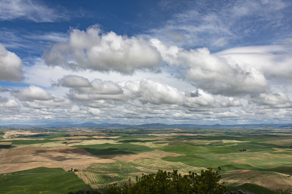 A beautiful Spring day overlooking the fertile agricultural fields of the Palouse area as seen from Steptoe Butte State Park in Southeastern Washington