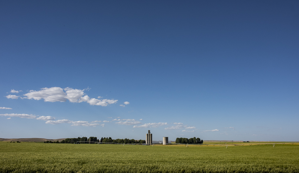 Farm under the big sky of Eastern Washington