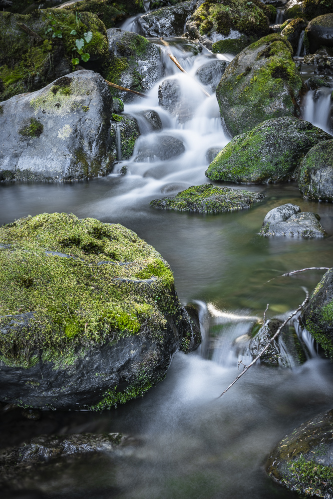 A little waterfall in the Olympic National Forest, Western Washington