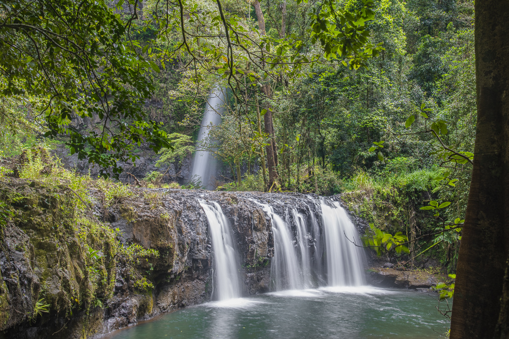 Nandroya Falls in the Rose Gums Wilderness Retreat, Butcher's Creek , Atherton Tablelands, Queensland, Australia