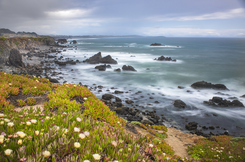 a slow exposure of  Pacific Ocean surf and Ice Plant at Sereno del Mar, Califronia.