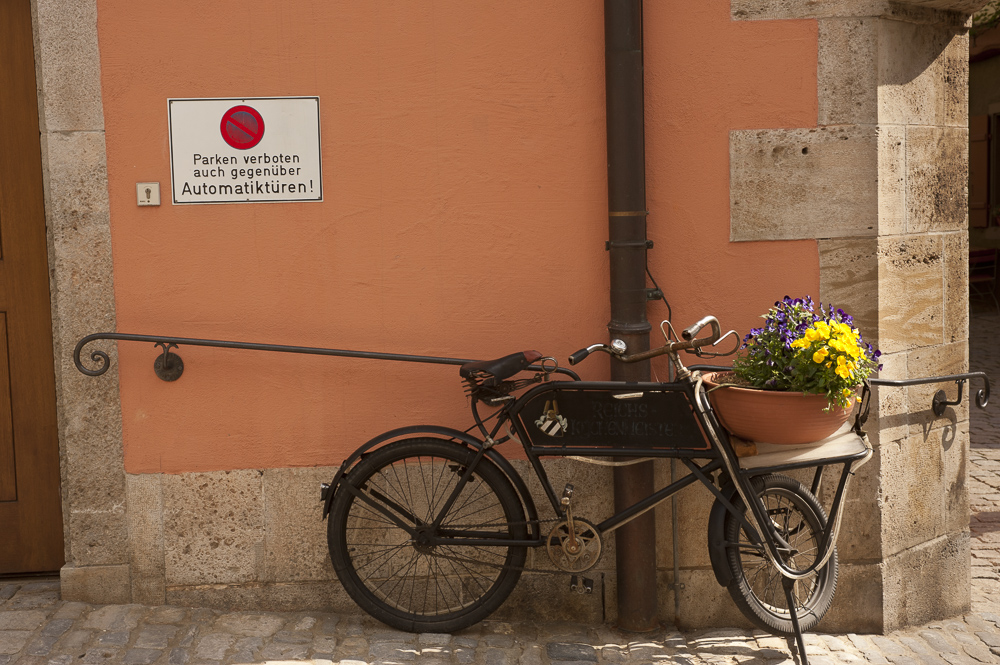 Bike and flowers, No Parking