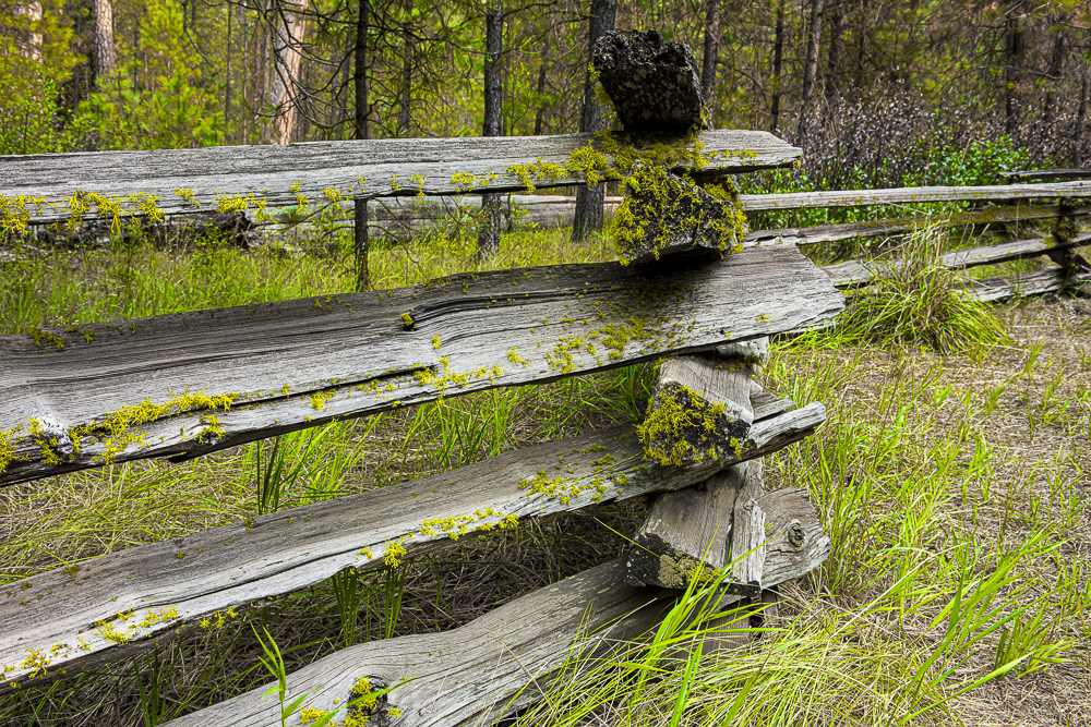 Split Rail Fence, Oregon