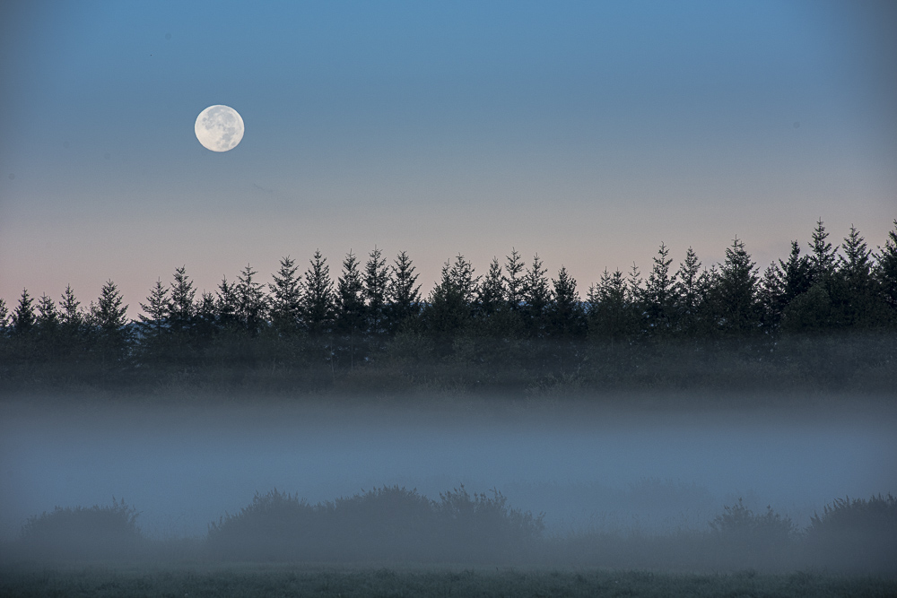 Moon rise over Fog