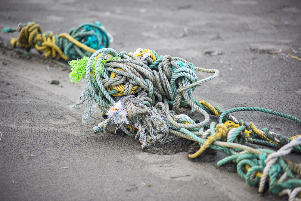 A tangle of rope, Flotsam, Washington Coast